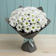 Букет цветов из:  Хризантемы в Охе